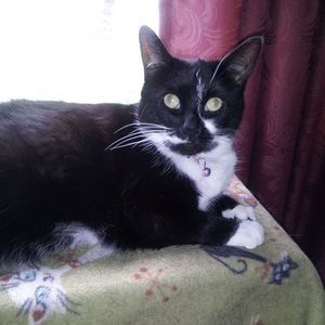 Meet your Posher, Jo-anne